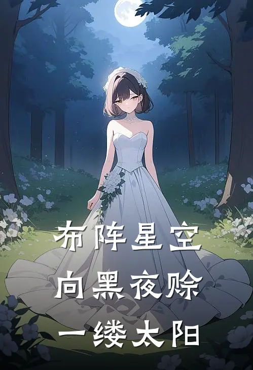 布阵星空：向黑夜赊一缕太阳(秦楚风苏楠)完整版免费小说_完结版小说推荐布阵星空：向黑夜赊一缕太阳(秦楚风苏楠)